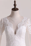 A Line Scoop Long Sleeves Wedding Dresses Tulle With Applique