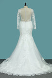 Mermaid/Trumpet Long Sleeves Court Train Tulle With Applique Wedding Dresses