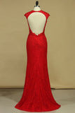 Prom Dresses Sheath Scoop Lace With Applique And Beads Sweep Train