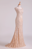 New Arrival Off The Shoulder Evening Dresses Lace With Applique & Beads