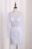 Scoop Long Sleeves Wedding Dresses Tulle & Organza With Applique Sweep Train Detachable