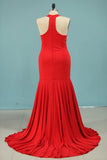 Plus Size Evening Dresses Mermaid High Neck Spandex Sweep Train