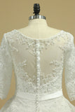 Scoop Mid-Length Sleeves Wedding Dresses A Line Tulle With Applique & Beads