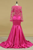 Evening Dresses Mermaid Scoop Long Sleeves Elastic Satin With Applique