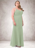 Nina Mermaid Ruched Chiffon Floor-Length Dress SJSP0019779