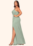 Desirae Mermaid Pleated Mesh Floor-Length Dress SJSP0019596