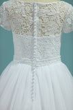 Bateau Wedding Dresses A-Line Tulle Cap Sleeves Zipper Back Court Train