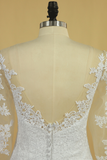 Plus Size Mermaid Open Back Wedding Dresses 3/4 Length Sleeve Tulle With Applique