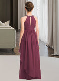 Lana A-Line Scoop Neck Floor-Length Chiffon Junior Bridesmaid Dress With Ruffle Beading UKP0013313