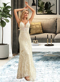 Alyson Trumpet/Mermaid V-neck Court Train Tulle Lace Wedding Dress UKP0013708