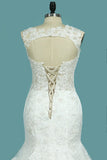 Mermaid/Trumpet V Neck Wedding Dresses Court Train Tulle With Applique Lace Up Back