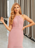 Sasha Trumpet/Mermaid High Neck Floor-Length Chiffon Bridesmaid Dress With Lace UKP0016653