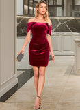 Gertrude Off the Shoulder Sleeveless Elegant Bodycon Velvet Mini Dresses UKP0016800