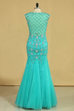 Plus Size Scoop Mermaid Prom Dresses Beaded Bodice Tulle Floor Length