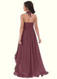 Sylvia A-Line Chiffon Asymmetrical Junior Bridesmaid Dress SJSP0019969