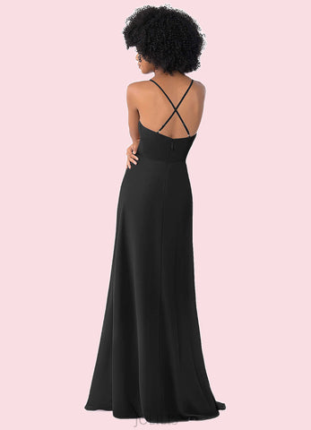 Lucia A-Line Pleated Chiffon Floor-Length Dress SJSP0019707