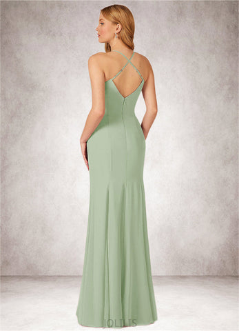 Nina Mermaid Ruched Chiffon Floor-Length Dress SJSP0019779