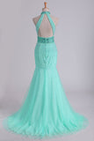 High Neck Mermaid Prom Dresses Beaded Bodice Open Back Tulle