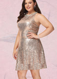 Shelby A-line Scoop Short/Mini Sequin Homecoming Dress With Sequins UKP0020584