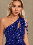 Erica Sheath/Column One Shoulder Floor-Length Sequin Prom Dresses With Sequins UKP0020828