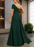 Amira Trumpet/Mermaid One Shoulder Floor-Length Chiffon Evening Dress With Pleated Appliques Lace Sequins UKP0020843