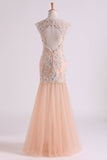 Classic Prom Dresses V Neck Mermaid/Trumpet Floor Length Tulle Champagne With Applique & Beads