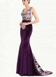 Nayeli Trumpet/Mermaid V-Neck Sweep Train Lace Velvet Evening Dress UKP0021010