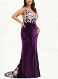 Nayeli Trumpet/Mermaid V-Neck Sweep Train Lace Velvet Evening Dress UKP0021010