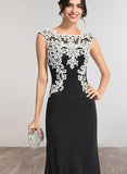 Lucinda Sheath/Column Scoop Floor-Length Lace Jersey Evening Dress UKP0021256