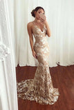 Sexy Mermaid V neck Lace Appliques Long Prom Dresses Spaghetti Straps Formal Dresses SJS15342