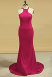 Mermaid Scoop Spandex Evening Dresses Open Back