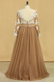 Plus Size Long Sleeves V-Neck A-Line Prom Gown Tulle With Sash & Applique