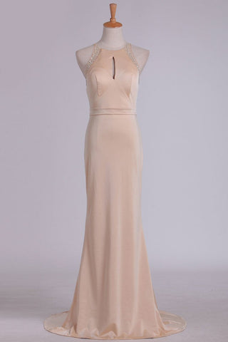 Evening Dresses Sheath Scoop Spandex With Beading Sweep Train