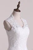 Wedding Dress A Line V-Neck Lace And Tulle With Applique Chapel Train