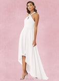 Dakota A-Line Pleated Chiffon Asymmetrical Dress SJSP0019736