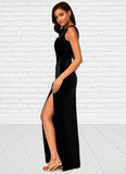 Brooklynn Sheath Pleated Velvet Floor-Length Dress SJSP0019713