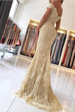 Silver Gray Sheath Brush Train Off The Shoulder Zipper Back Beading Lace Long Prom Dresses