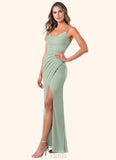 Desirae Mermaid Pleated Mesh Floor-Length Dress SJSP0019596