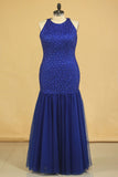 Floor Length Prom Dresses Scoop Beaded Bodice Mermaid Tulle Dark Royal Blue