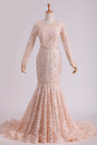 Long Sleeves Wedding Dresses Scoop Lace With Sash Sweep Train Champagne