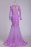 Long Sleeves Scoop Prom Dresses Tulle With Applique Mermaid