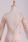 Long Sleeves Wedding Dresses Scoop Lace With Sash Sweep Train Champagne