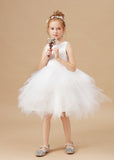 Chic Sleeveless Lace Tulle Flower Girl Dresses