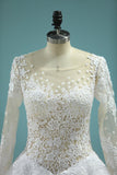 Scoop A-Line Wedding Dresses Court Train Tulle With Applique Long Sleeves