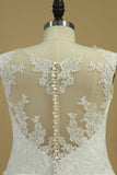 Wedding Dresses A Line V Neck With Applique Chapel Train