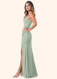 Desirae Mermaid Pleated Mesh Floor-Length Dress SJSP0019596