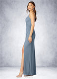 Miriam A-Line Pleated Mesh Floor-Length Dress SJSP0019751