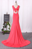 Open Back Scoop Spandex Mermaid Evening Dresses Sweep Train