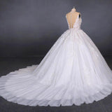 Princess Ball Gown Sheer Neck White Wedding Dresses Lace Appliqued Bridal Dresses SJS15293