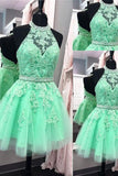 A Line Homecoming Dresses Halter Beaded Bodice Short/Mini Tulle Zipper Up